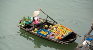 Bioanalytiker praktik i Vietnam