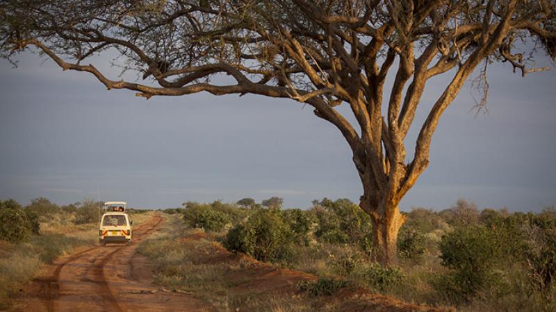 Bioanalytiker praktik i Kenya