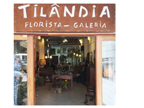 Tilandia Mozambican Art Gallery logo
