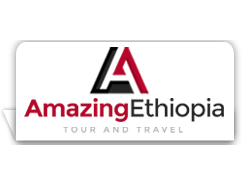 Amazing Ethiopia Tours logo