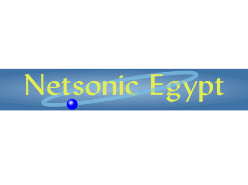 Netsonic Egypt logo