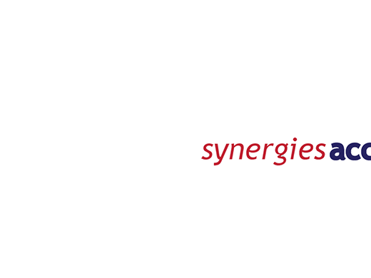 Synergies Accounting  logo
