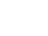 Egyptian Swiss  logo